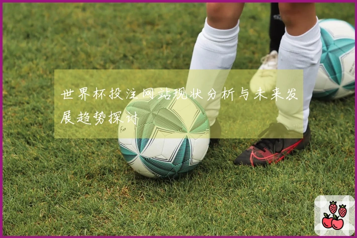 世界杯投注网站现状分析与未来发展趋势探讨
