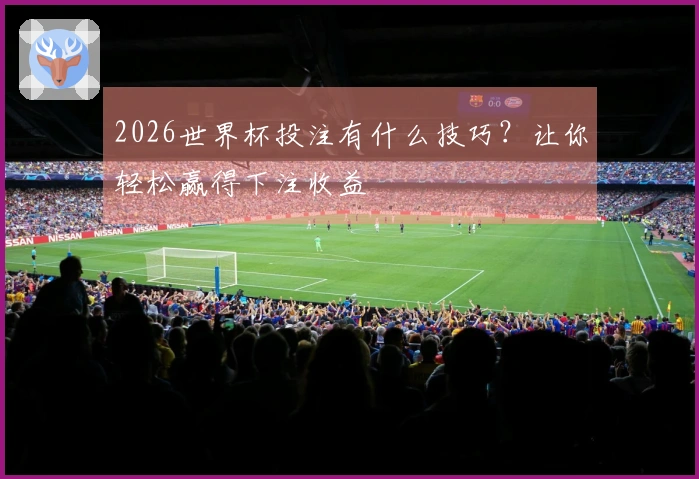 2026世界杯投注有什么技巧？让你轻松赢得下注收益
