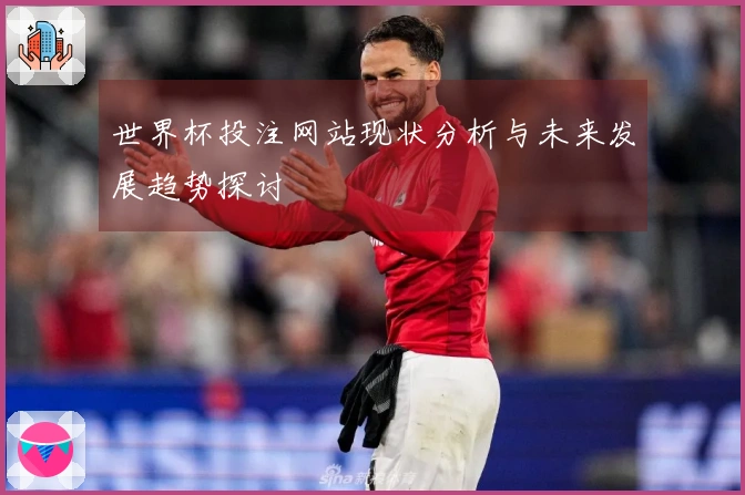 世界杯投注网站现状分析与未来发展趋势探讨
